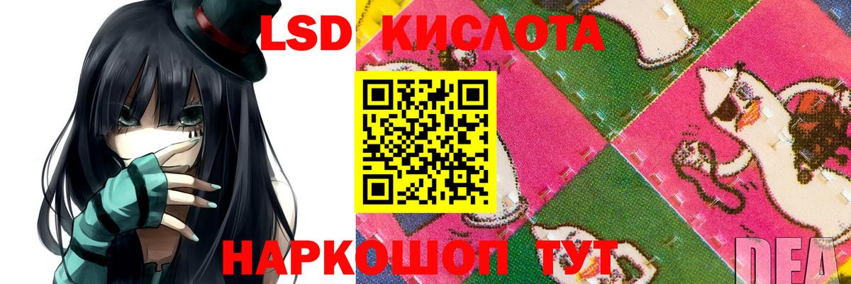 Светлоград  ЛСД экстази ecstasy  Лсд 25 экстази кислота  ЛСД экстази  Вход с VPN 