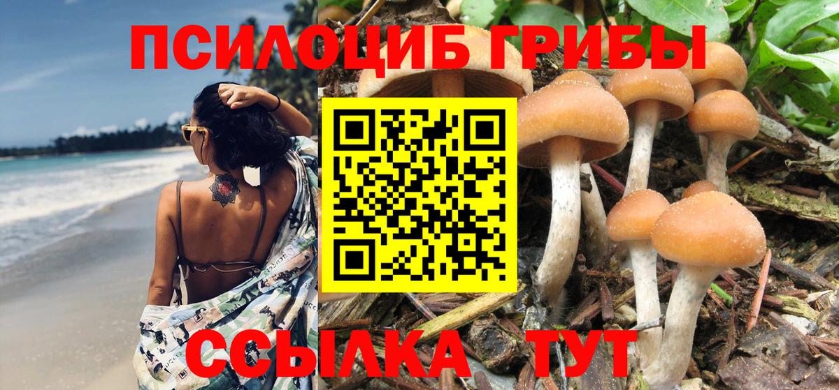 Псилоцибиновые грибы MAGIC MUSHROOMS Светлоград