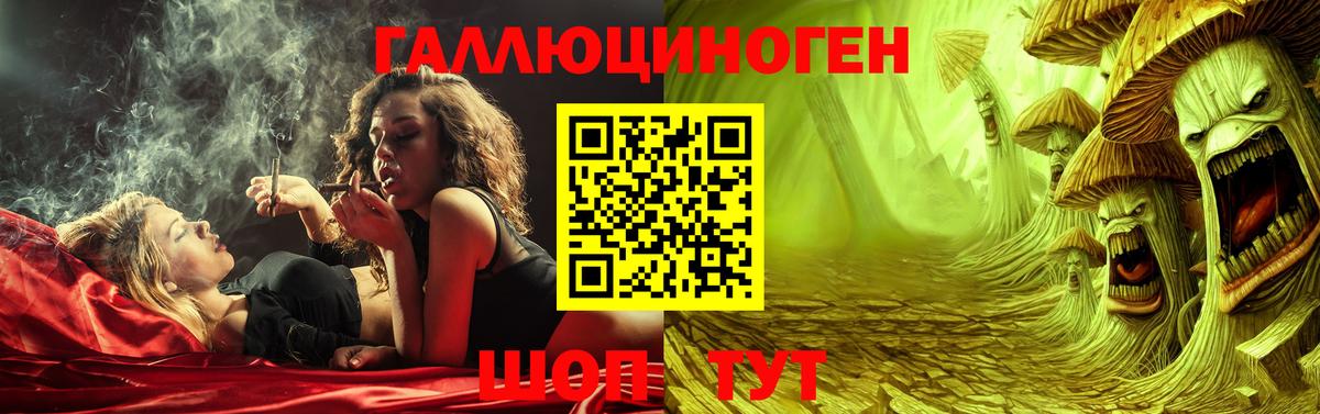 Псилоцибиновые грибы GOLDEN TEACHER  Вход с VPN  Светлоград 